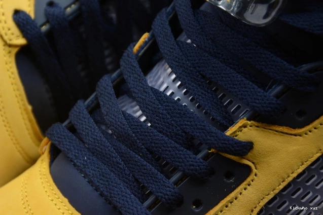 Jordan Air Michigan CQ9541-704 SP 5 (Inspire) 0823